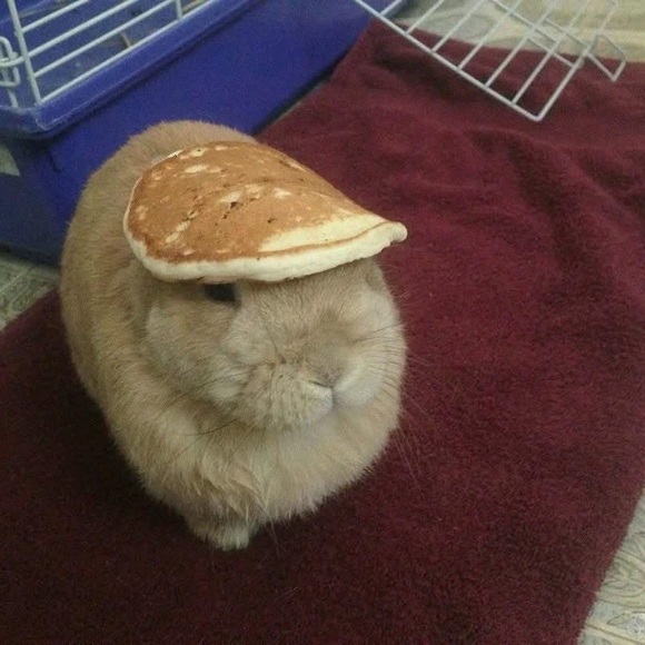 jjkookki